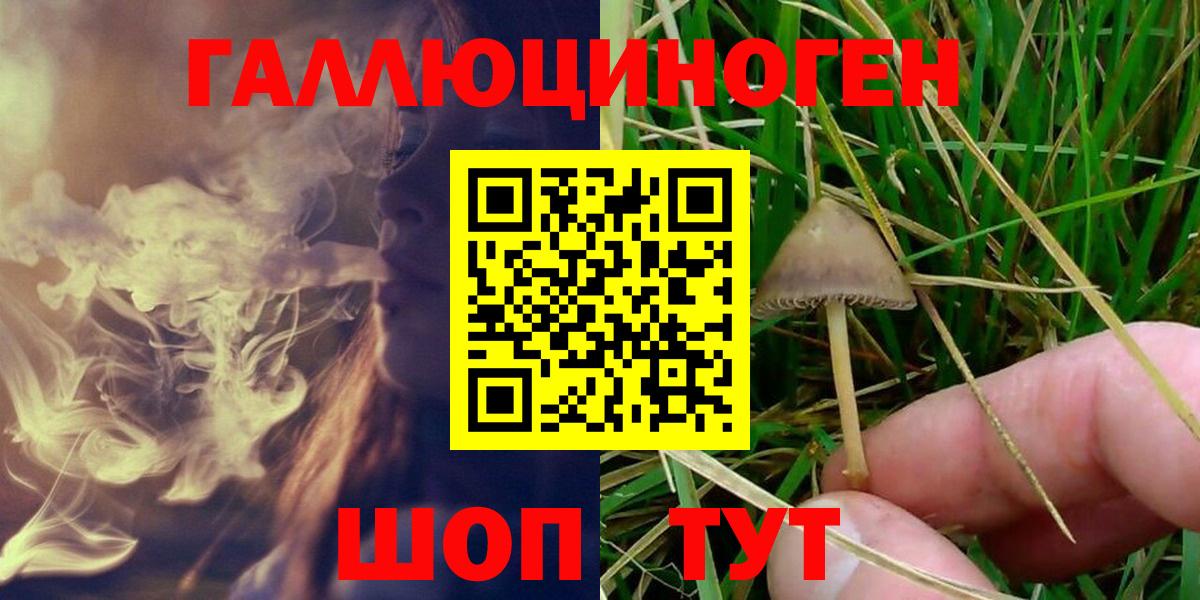 Псилоцибиновые грибы MAGIC MUSHROOMS  купить наркотик  Жигулёвск  Вход с VPN 